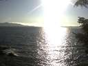 ./images/koeye/fitz-hugh/20210831/fitz-hugh20210831_180002.jpg