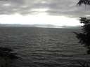 ./images/koeye/fitz-hugh/20210901/fitz-hugh20210901_180001.jpg