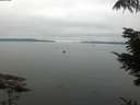 ./images/koeye/fitz-hugh/20210902/fitz-hugh20210902_100001.jpg