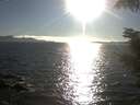 ./images/koeye/fitz-hugh/20210909/fitz-hugh20210909_180001.jpg