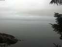 ./images/koeye/fitz-hugh/20210910/fitz-hugh20210910_080002.jpg