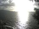 ./images/koeye/fitz-hugh/20210914/fitz-hugh20210914_180001.jpg