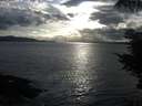 ./images/koeye/fitz-hugh/20210918/fitz-hugh20210918_180001.jpg