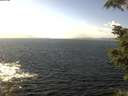 ./images/koeye/fitz-hugh/20210922/fitz-hugh20210922_140002.jpg