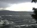 ./images/koeye/fitz-hugh/20210927/fitz-hugh20210927_145501.jpg