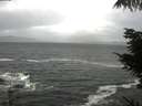 ./images/koeye/fitz-hugh/20210927/fitz-hugh20210927_163002.jpg