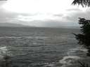 ./images/koeye/fitz-hugh/20210927/fitz-hugh20210927_165501.jpg