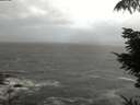 ./images/koeye/fitz-hugh/20210927/fitz-hugh20210927_194501.jpg