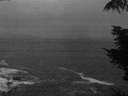 ./images/koeye/fitz-hugh/20210927/fitz-hugh20210927_195502.jpg