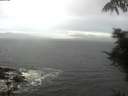 ./images/koeye/fitz-hugh/20210928/fitz-hugh20210928_080002.jpg