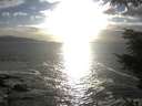 ./images/koeye/fitz-hugh/20210930/fitz-hugh20210930_180002.jpg