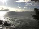 ./images/koeye/fitz-hugh/20211002/fitz-hugh20211002_160001.jpg