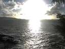 ./images/koeye/fitz-hugh/20211002/fitz-hugh20211002_180002.jpg