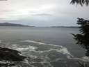 ./images/koeye/fitz-hugh/20211004/fitz-hugh20211004_080002.jpg