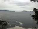 ./images/koeye/fitz-hugh/20211004/fitz-hugh20211004_100001.jpg