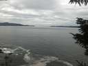 ./images/koeye/fitz-hugh/20211004/fitz-hugh20211004_140002.jpg