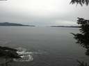 ./images/koeye/fitz-hugh/20211004/fitz-hugh20211004_160001.jpg