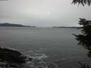 ./images/koeye/fitz-hugh/20211004/fitz-hugh20211004_180002.jpg