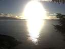 ./images/koeye/fitz-hugh/20211006/fitz-hugh20211006_180002.jpg