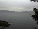 ./images/koeye/fitz-hugh/20211007/fitz-hugh20211007_180002.jpg