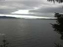 ./images/koeye/fitz-hugh/20211008/fitz-hugh20211008_140002.jpg