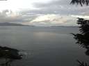 ./images/koeye/fitz-hugh/20211010/fitz-hugh20211010_080001.jpg