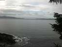 ./images/koeye/fitz-hugh/20211010/fitz-hugh20211010_100001.jpg