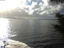 ./images/koeye/fitz-hugh/20211010/fitz-hugh20211010_160002.jpg