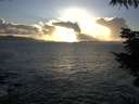 ./images/koeye/fitz-hugh/20211010/fitz-hugh20211010_180002.jpg
