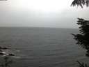 ./images/koeye/fitz-hugh/20211012/fitz-hugh20211012_080002.jpg