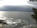 ./images/koeye/fitz-hugh/20211012/fitz-hugh20211012_140002.jpg