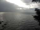./images/koeye/fitz-hugh/20211012/fitz-hugh20211012_160001.jpg