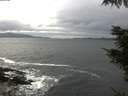 ./images/koeye/fitz-hugh/20211013/fitz-hugh20211013_140001.jpg