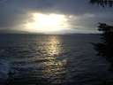 ./images/koeye/fitz-hugh/20211013/fitz-hugh20211013_180002.jpg