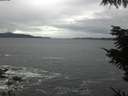 ./images/koeye/fitz-hugh/20211014/fitz-hugh20211014_100001.jpg