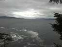 ./images/koeye/fitz-hugh/20211014/fitz-hugh20211014_120002.jpg