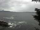 ./images/koeye/fitz-hugh/20211014/fitz-hugh20211014_140002.jpg