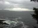 ./images/koeye/fitz-hugh/20211014/fitz-hugh20211014_160001.jpg