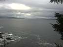 ./images/koeye/fitz-hugh/20211015/fitz-hugh20211015_120002.jpg