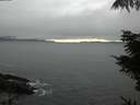 ./images/koeye/fitz-hugh/20211015/fitz-hugh20211015_180002.jpg