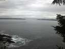 ./images/koeye/fitz-hugh/20211016/fitz-hugh20211016_080001.jpg