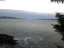 ./images/koeye/fitz-hugh/20211019/fitz-hugh20211019_080002.jpg