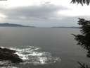 ./images/koeye/fitz-hugh/20211020/fitz-hugh20211020_080002.jpg
