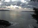 ./images/koeye/fitz-hugh/20211020/fitz-hugh20211020_180002.jpg