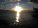 ./images/koeye/fitz-hugh/20211021/fitz-hugh20211021_180002.jpg