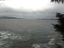 ./images/koeye/fitz-hugh/20211022/fitz-hugh20211022_160002.jpg