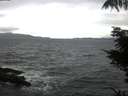 ./images/koeye/fitz-hugh/20211023/fitz-hugh20211023_080001.jpg