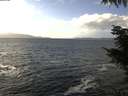 ./images/koeye/fitz-hugh/20211023/fitz-hugh20211023_140001.jpg