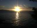 ./images/koeye/fitz-hugh/20211023/fitz-hugh20211023_180002.jpg
