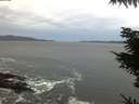 ./images/koeye/fitz-hugh/20211024/fitz-hugh20211024_080001.jpg